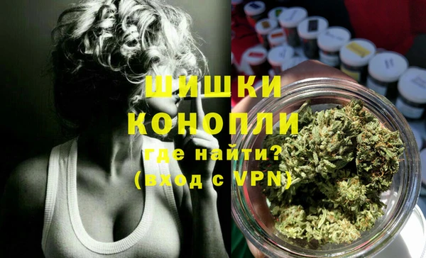 ECSTASY Лагань