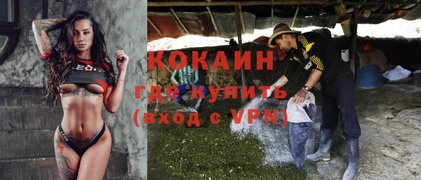 ECSTASY Лагань