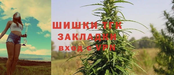 PSILOCYBIN Лабытнанги