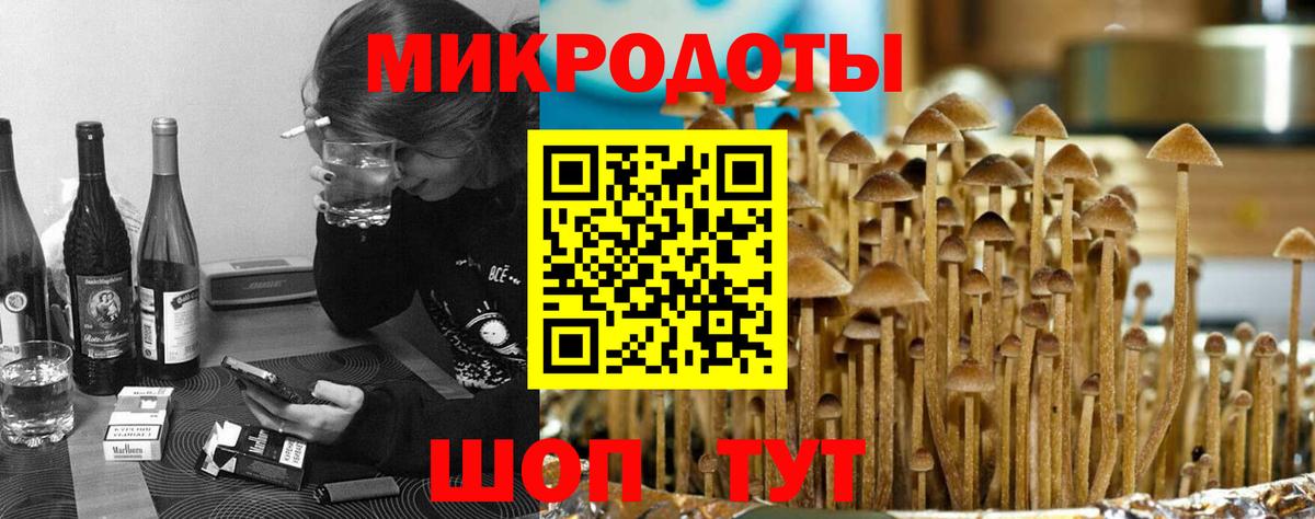Курганинск  Галлюциногенные грибы Psilocybe  Вход с VPN 