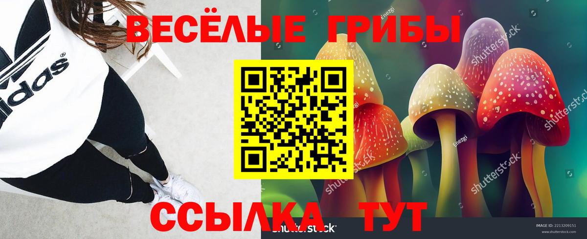 Псилоцибиновые грибы мицелий Курганинск