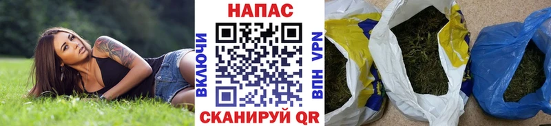 купить наркотики цена  Курганинск  Бошки Шишки VHQ 