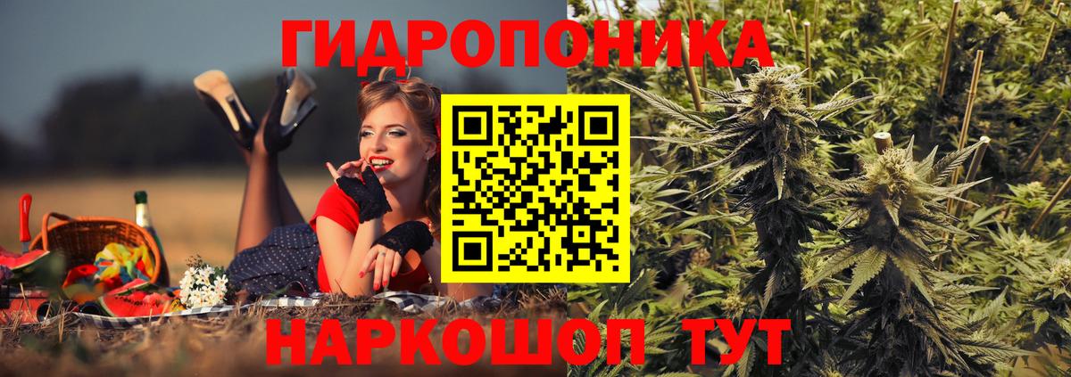 Шишки марихуана SATIVA & INDICA  Курганинск  Канабис AK-47  Бошки Шишки марихуана 